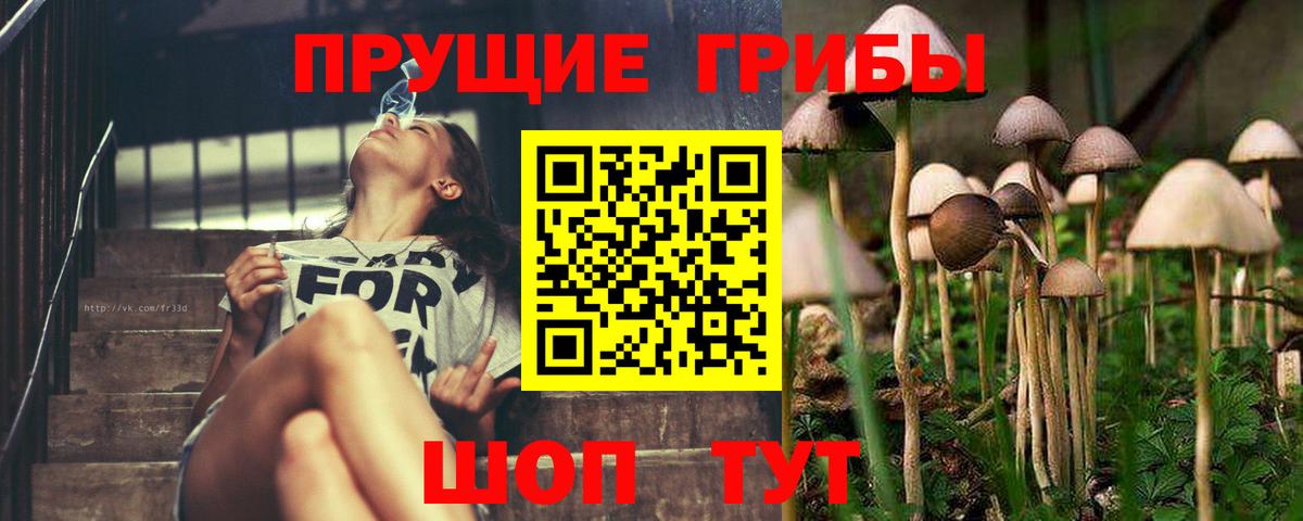 наркошоп  Вход с VPN  Галлюциногенные грибы мухоморы  Лосино-Петровский  Галлюциногенные грибы прущие грибы 